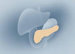 Illustration der Bauchspeicheldrüse